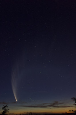Cometa McNaught (C/2006 P1)