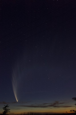 Cometa McNaught (C/2006 P1)